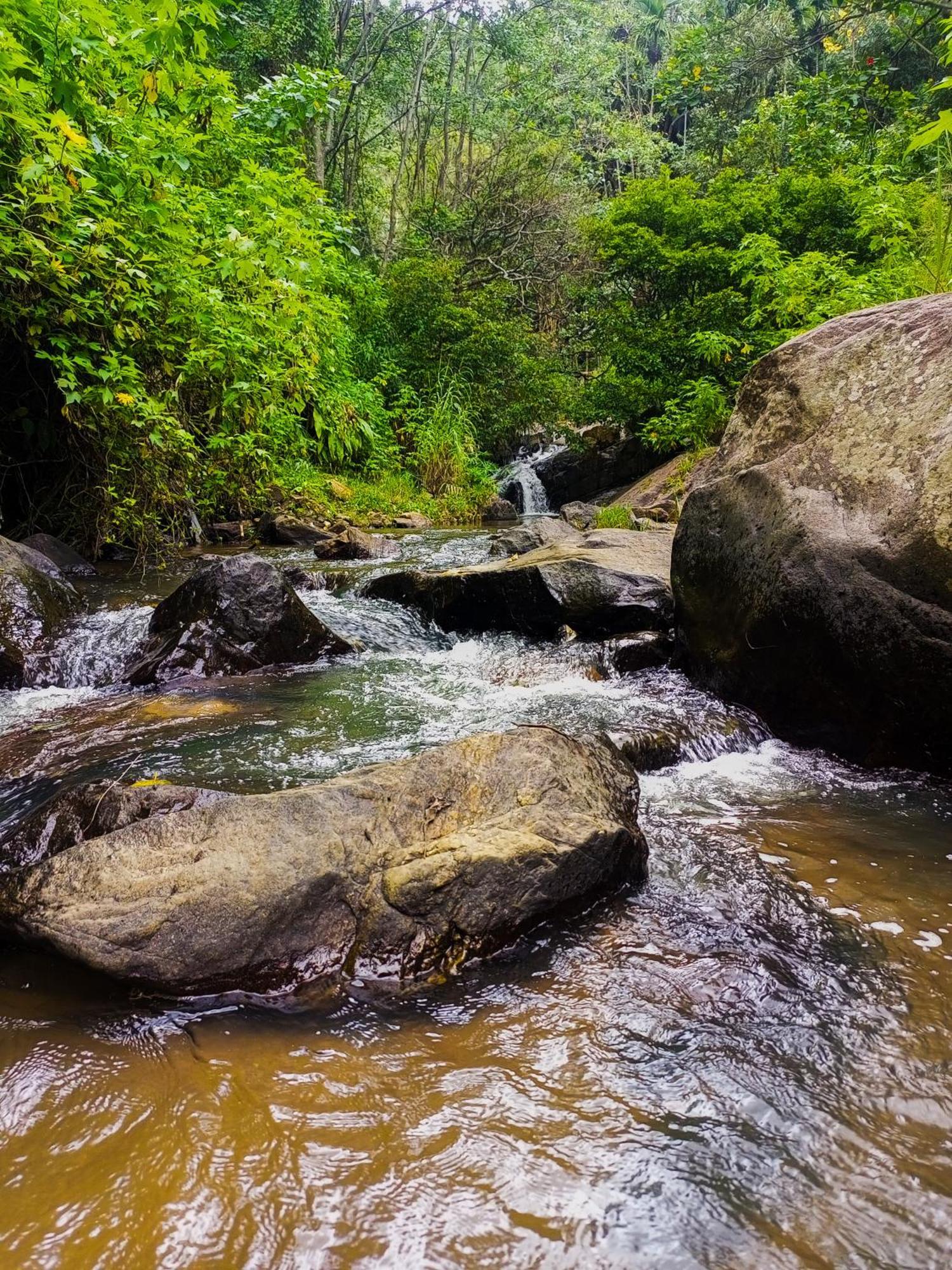 Bed and Breakfast Creek Downhills Элла Экстерьер фото
